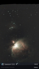 M42 - Nebulosa di Orione